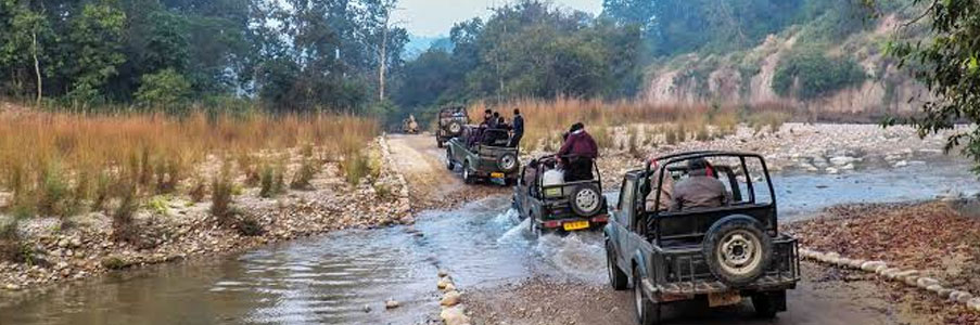 jeeps in corbett
