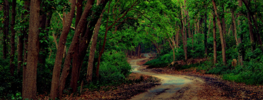 dhela zone
