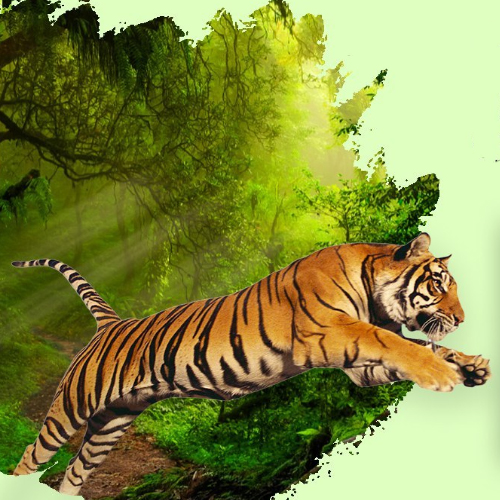 tiger of jim corbett